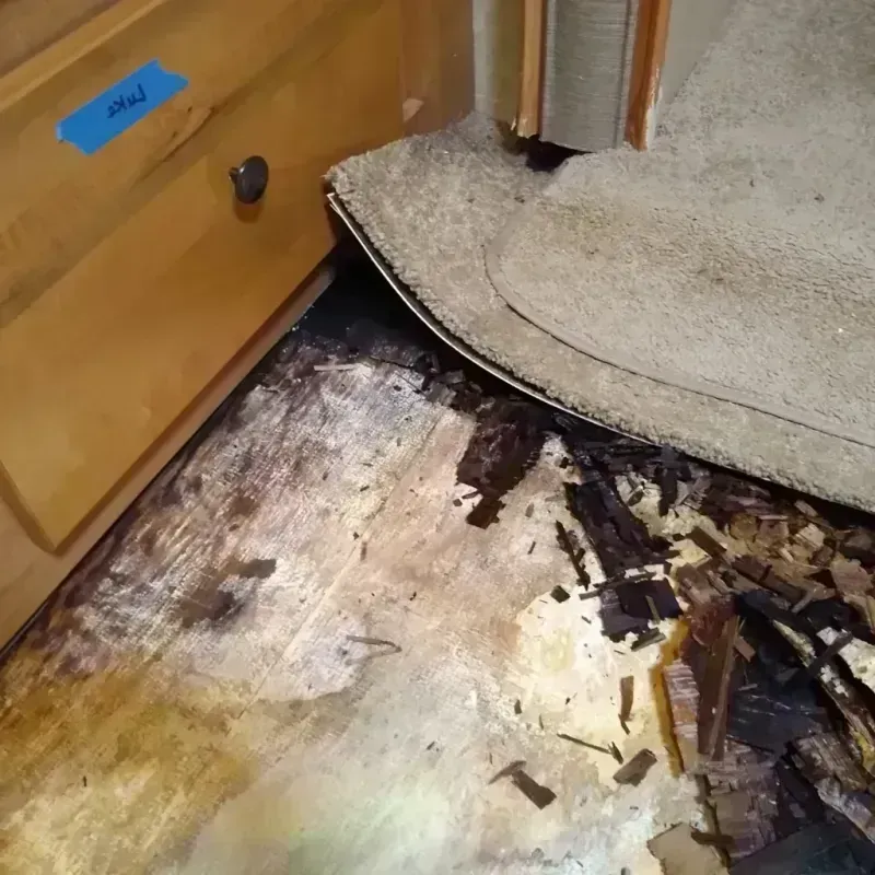 Best Wood Floor Water Damage Service in Breese, IL